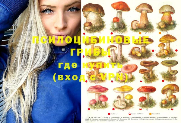 прущая мука Арсеньев