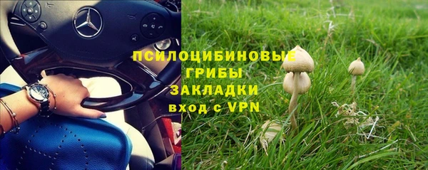 гидропоника Балахна