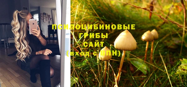 тгк Армянск