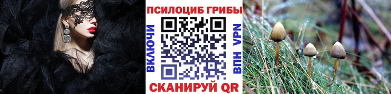 Галлюциногенные грибы Cubensis Лахденпохья